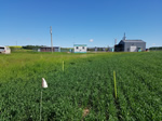 Farm utility Locating